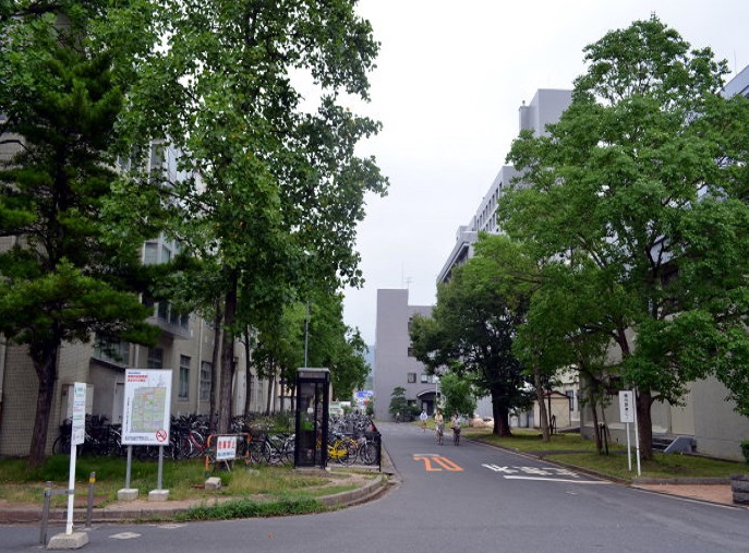 586caa4bcdb6f.jpg 5e6ba073ga956a8e267f9&690.jpg